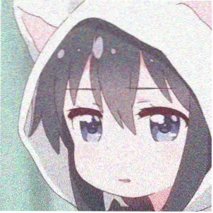 用户